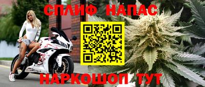 гашиш Кимры