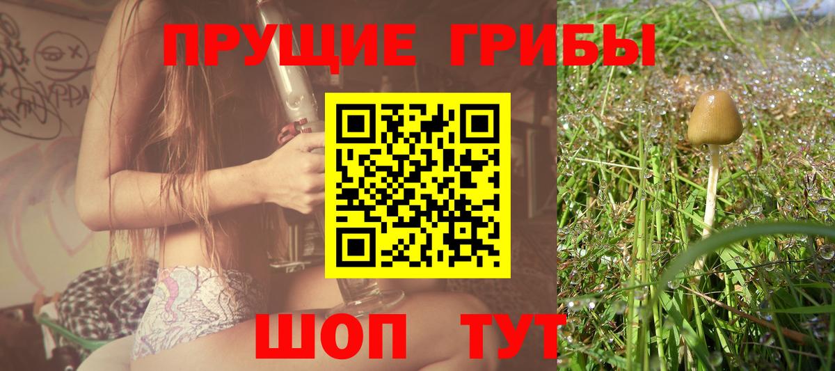 Галлюциногенные грибы Psilocybine cubensis  Вход с VPN  наркошоп  Красноярск 